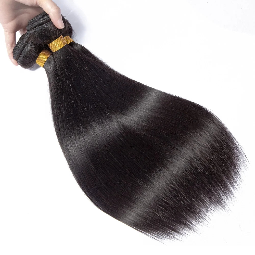 Ombre Bundles With Closure Brazilian Hair Weave Bundles With Closure Brown T4/30 Colored Human Hair Bundles With Closure