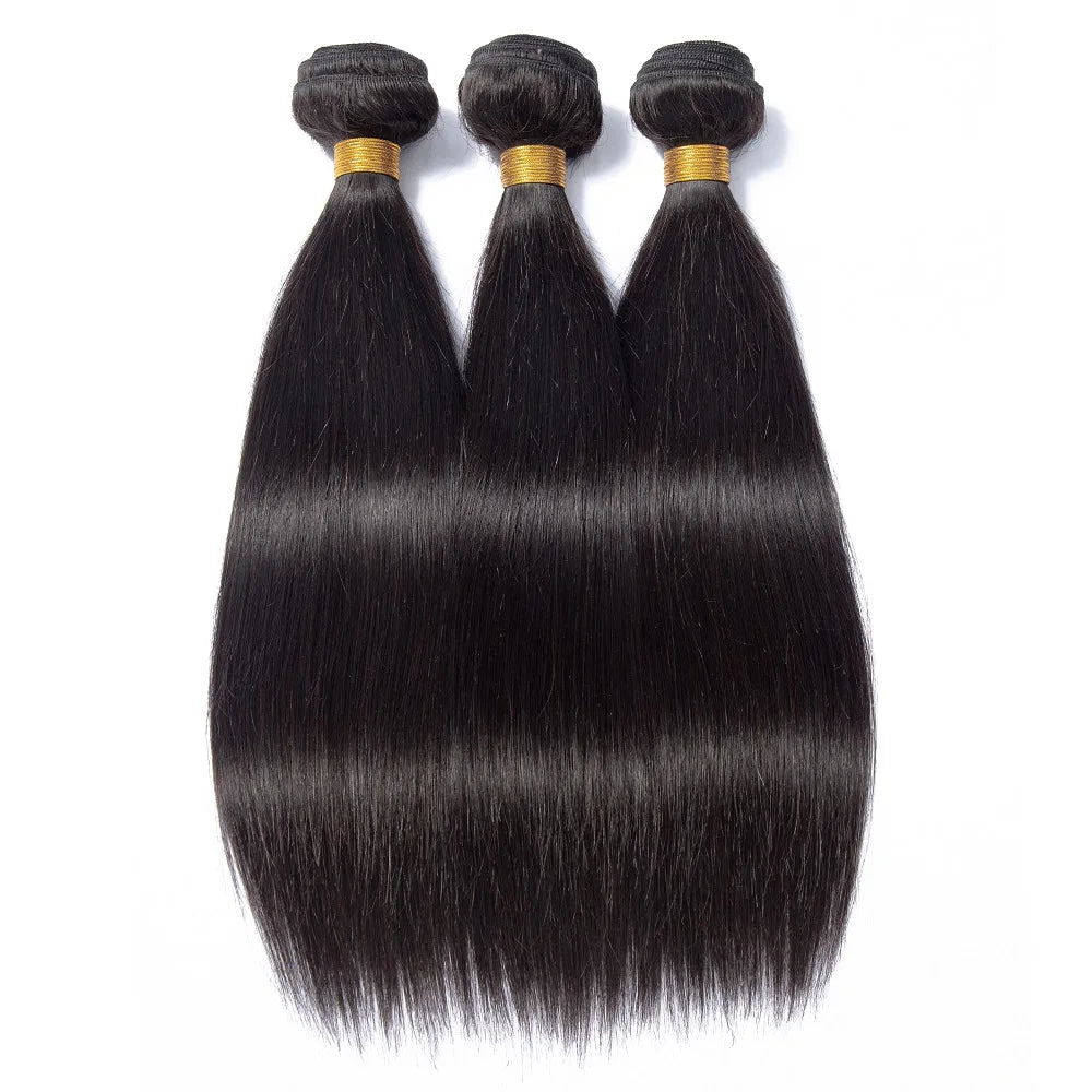 Ombre Bundles With Closure Brazilian Hair Weave Bundles With Closure Brown T4/30 Colored Human Hair Bundles With Closure